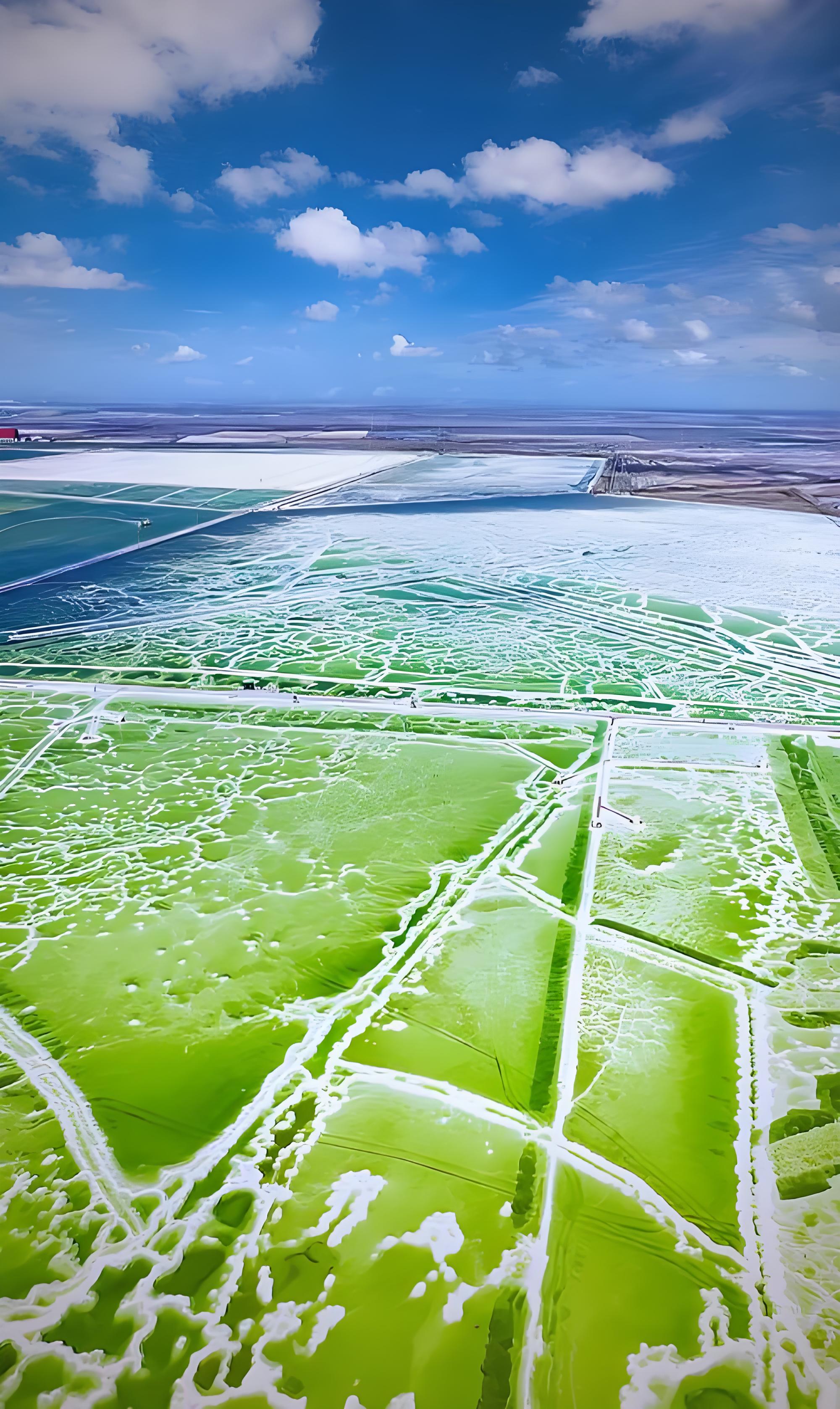 Emerald salt ponds at Qarhan Salt Lake