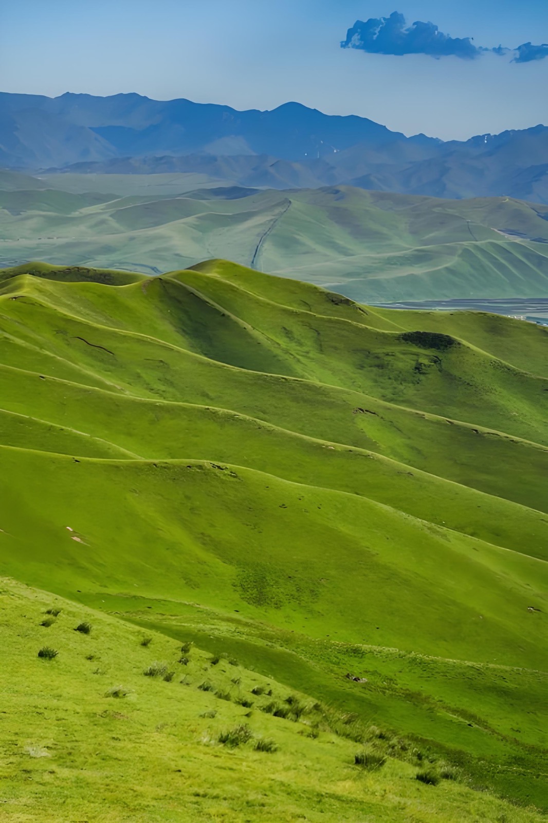 Rolling green grassland in the Qilian Mountains