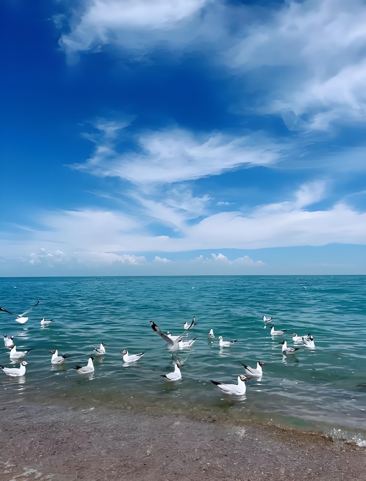 Qinghai Lake beneath a wide blue sky